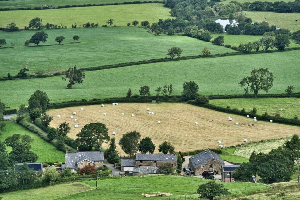 yield farming