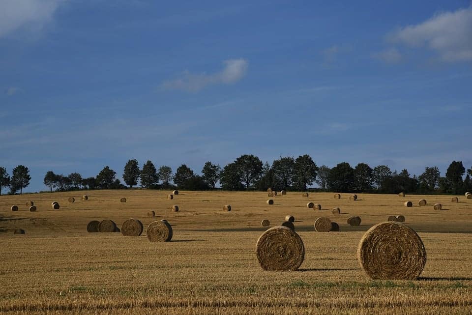 yield farming