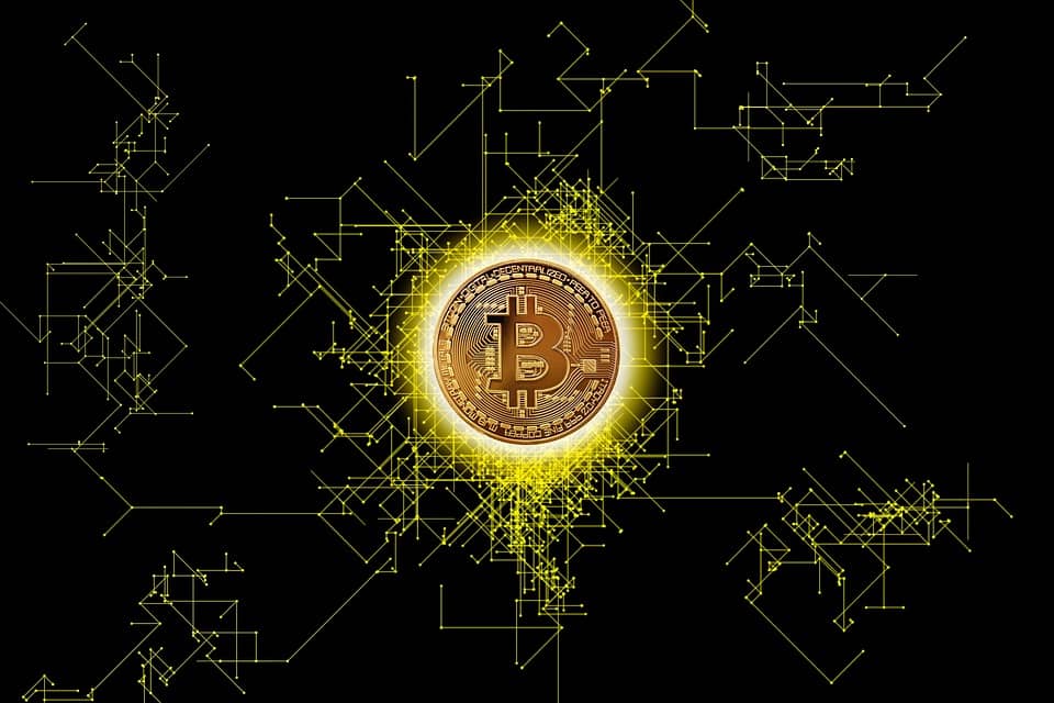 The Dark Horse of Cryptocurrency: Exploring Alternative Coins to Bitcoin